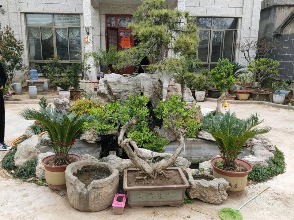 微信图片_20200422144105.jpg