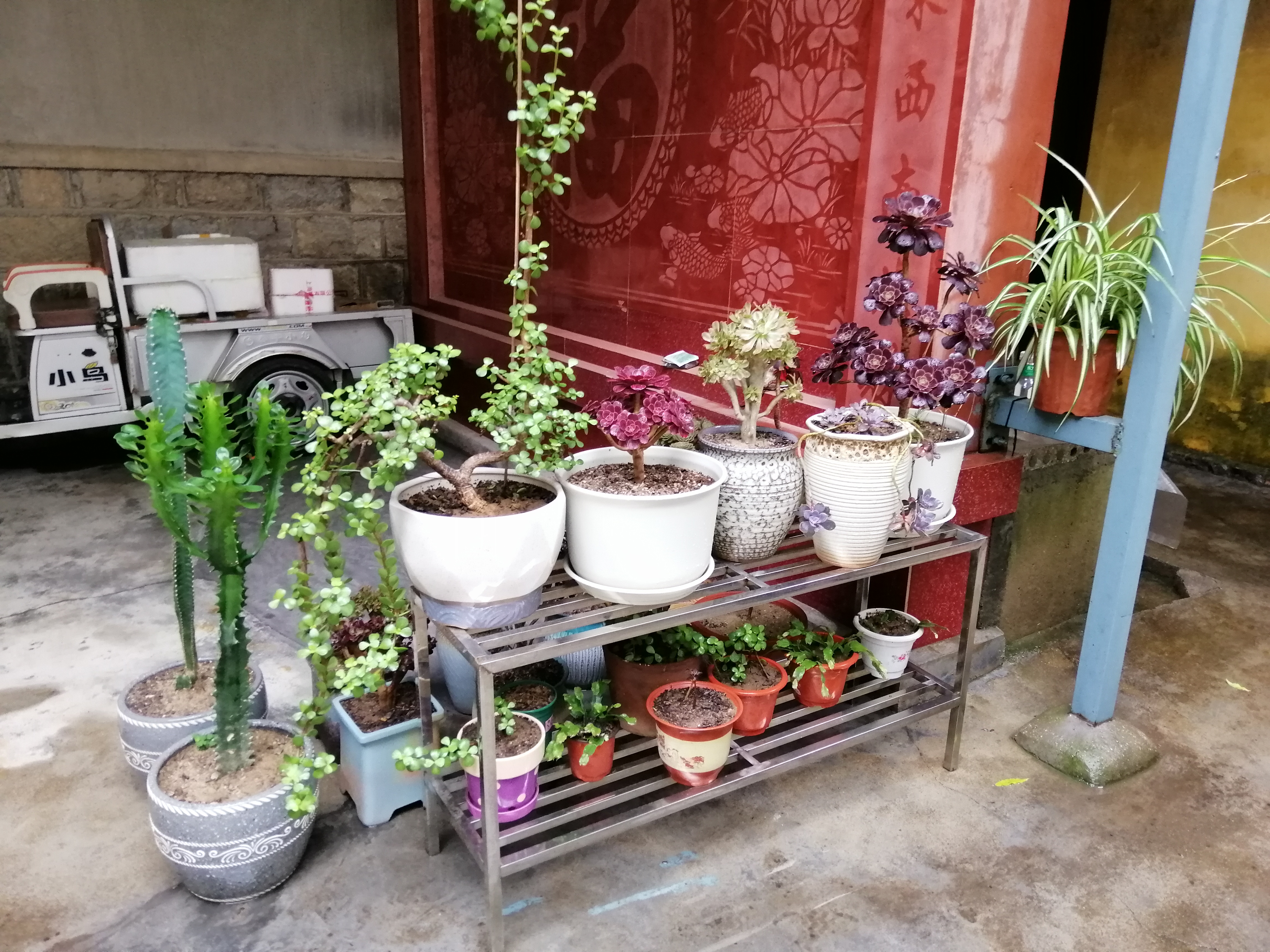 微信图片_20230717150221.jpg